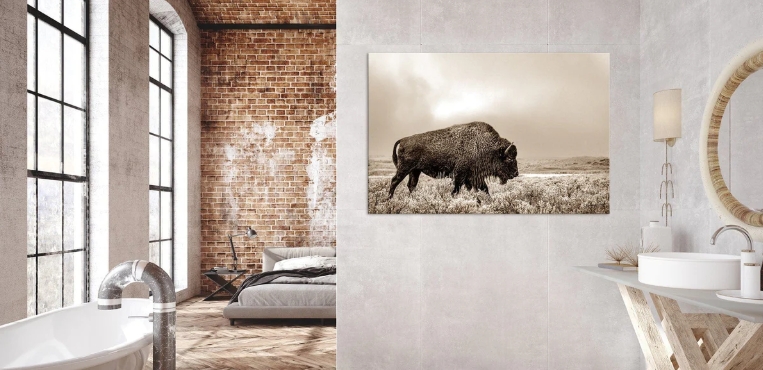 western bathroom wall decor
