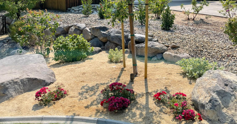 Front yard rock garden inspirations