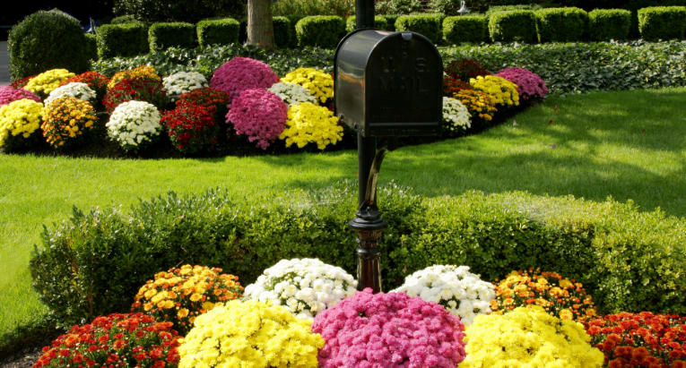 Front yard with flower beds