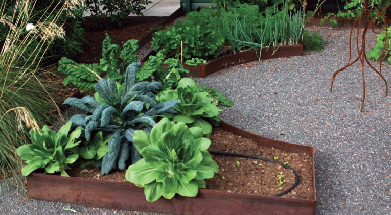 Front yard with a vegetable garden