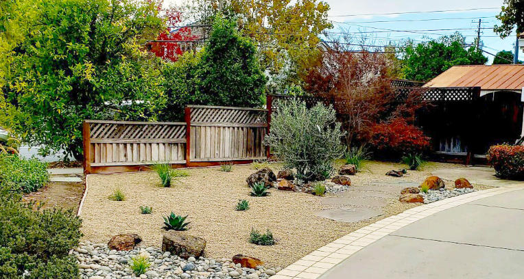 Front yard with drought-tolerant plants