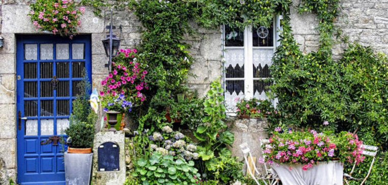 Front yard with vertical gardens