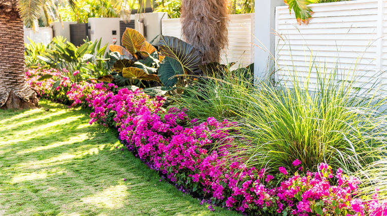Front yard landscaping for curb appeal