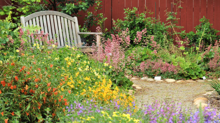Front yard with native plant landscaping