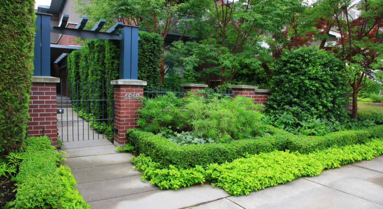 Front yard with creative hedges