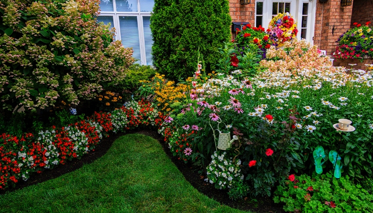 Front yard with seasonal flowers