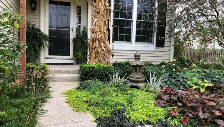 Front yard with hanging plants