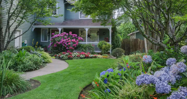 Front yard with modern planters