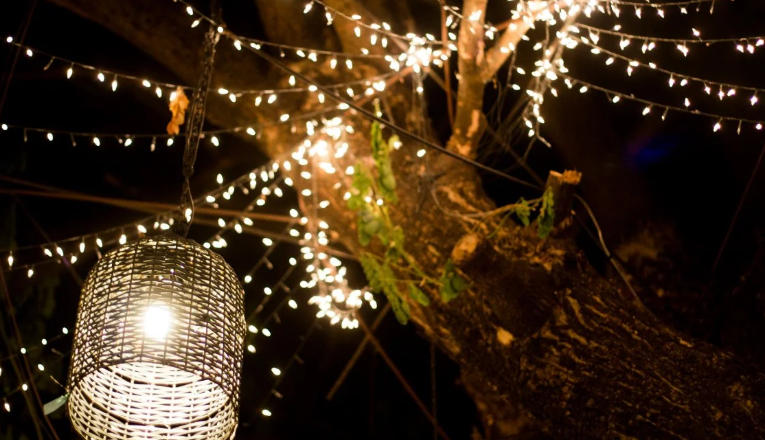 Front yard with tree lighting designs