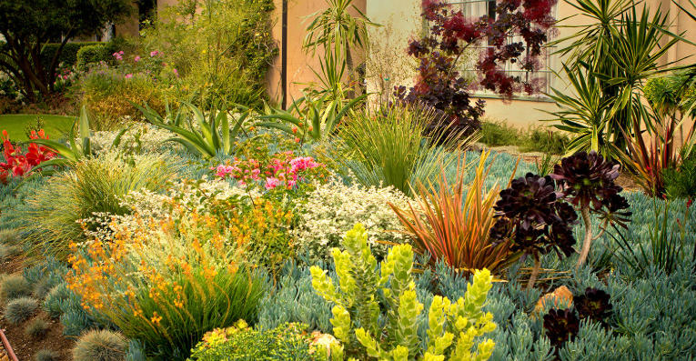 Front yard with mixed flower borders