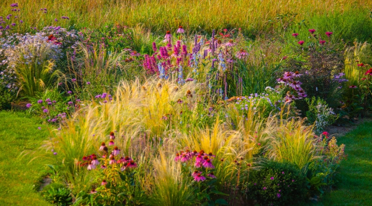 Front yard with ornamental grasses