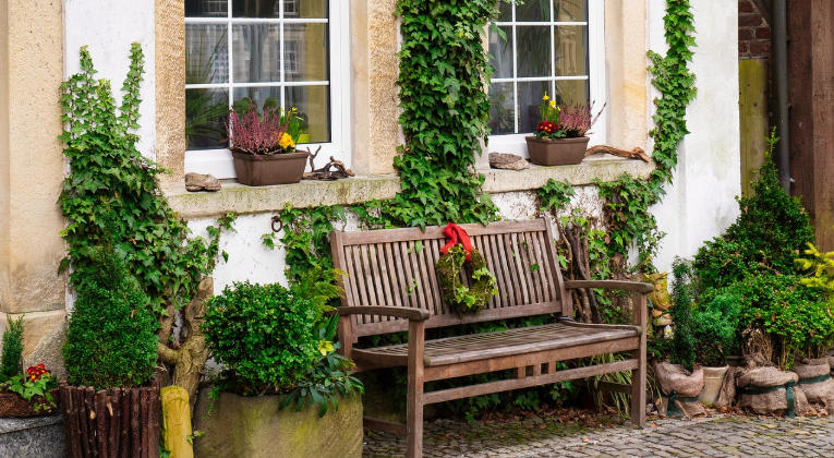 Front yard with a garden bench