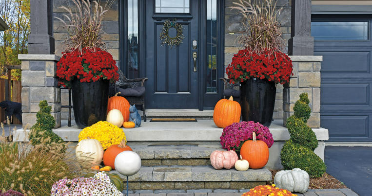 Front yard with container gardening ideas