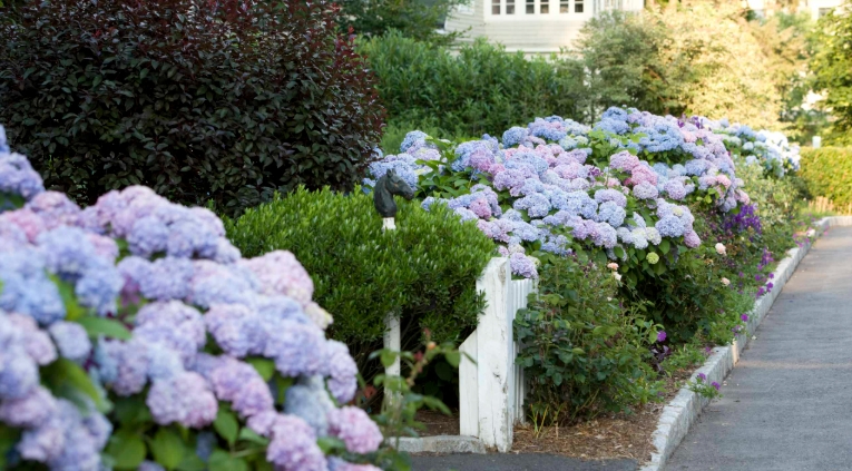 Creative front yard landscaping ideas