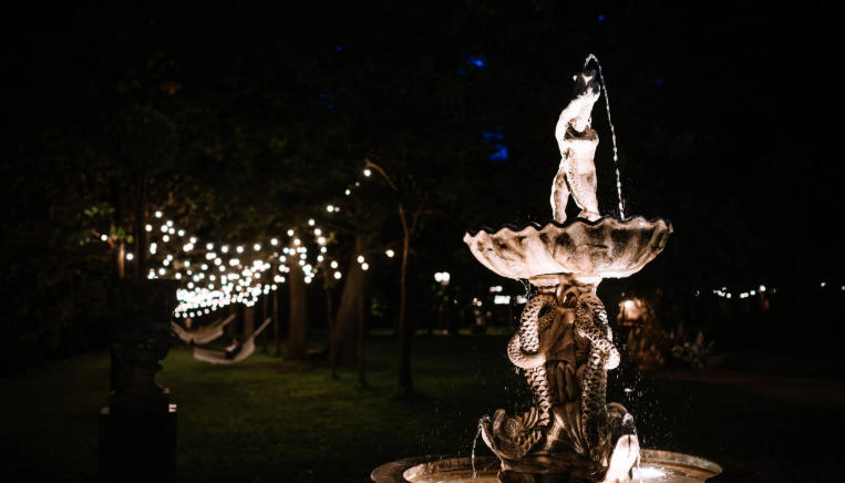 Front yard with artistic lighting