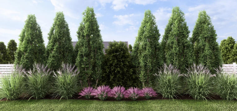 Front yard with ornamental grasses and plants
