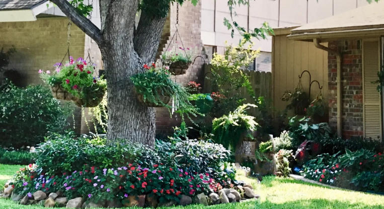 Front yard with small tree ideas
