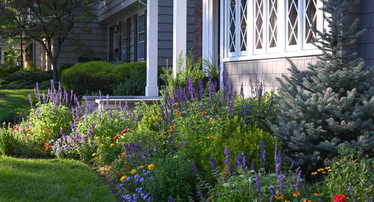 Front yard with colorful flower combinations