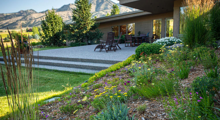 Front yard with sustainable garden ideas