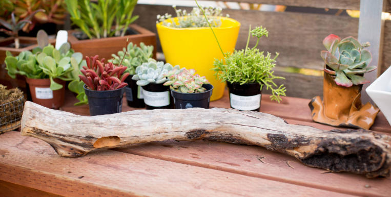 Boho Garden Decor Using Driftwood Art