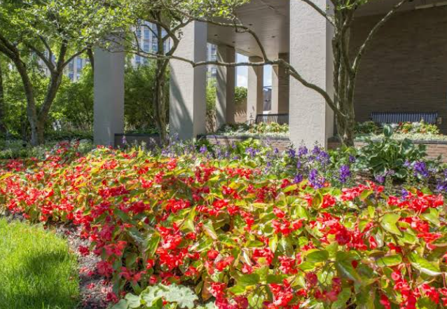 Colorful Spring Garden Ideas with Seasonal Flowers