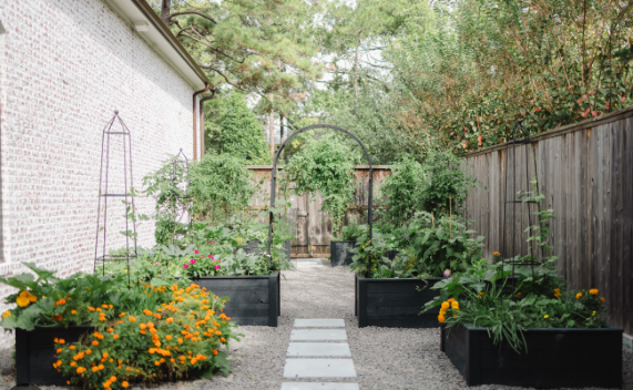 Easy Spring Garden Ideas for Beginners in Landscaping