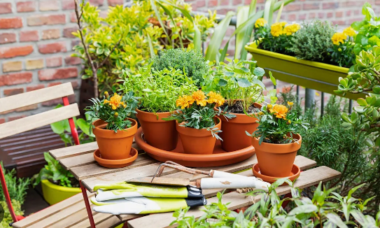Small Spring Garden Ideas for Compact Outdoor Spaces