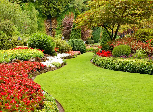 Backyard Spring Garden Ideas for a Fresh Seasonal Landscape