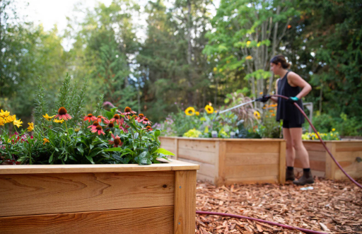 Spring Garden Ideas with Raised Garden Beds