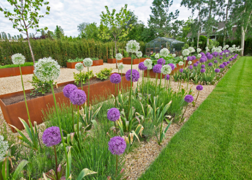 Spring Garden Ideas for Creating a Colorful Backyard
