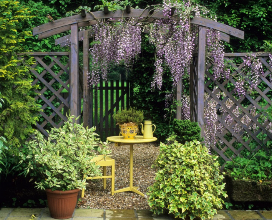 Spring Garden Ideas with Pergolas and Climbing Plants