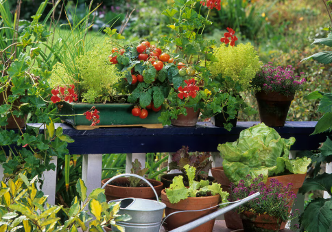 Spring Garden Ideas for Balcony and Terrace Spaces
