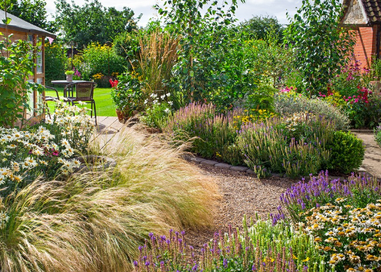 Spring Garden Ideas with Flower Beds and Natural Paths