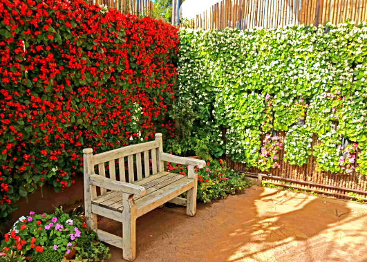 Spring Garden Ideas with Vertical Planting Designs