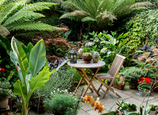 Spring Garden Ideas for a Stylish Backyard Makeover