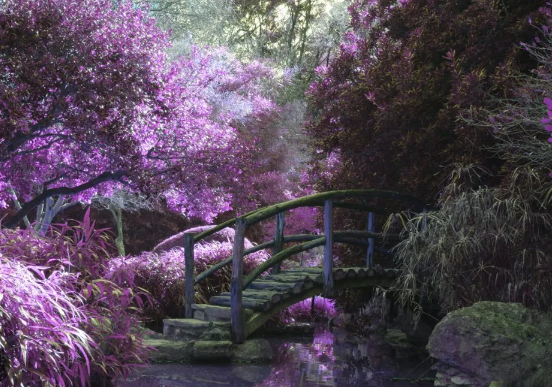 Spring Garden Ideas for a Relaxing Zen Garden Space