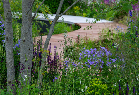 Spring Garden Ideas with Elegant Garden Path Designs