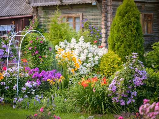 Spring Garden Ideas with Trellises and Flower Vines