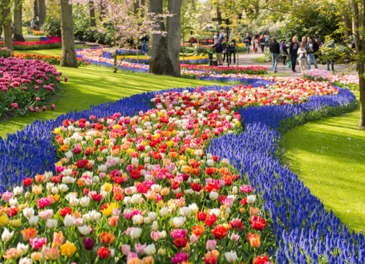 Spring Garden Ideas with Native Plants and Flowers