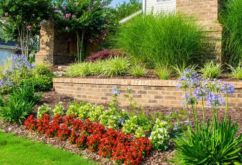 Spring Garden Ideas with Colorful Perennial Plants