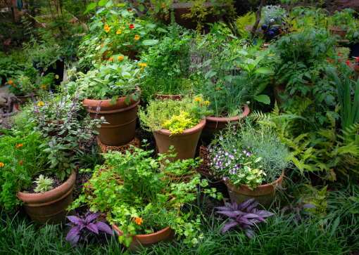 Spring Garden Ideas with Herb Gardens and Edible Plants