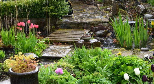 Spring Garden Ideas with Eco Friendly Landscaping