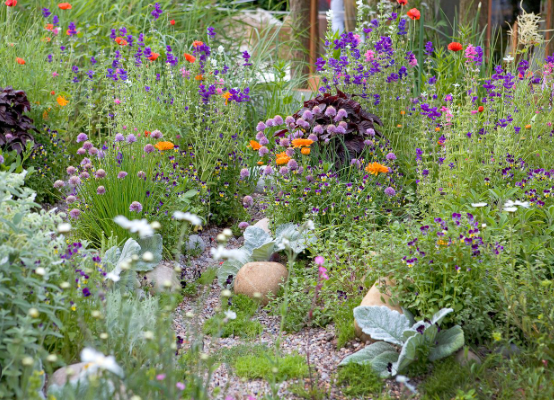 Spring Garden Ideas with Gravel Garden Paths