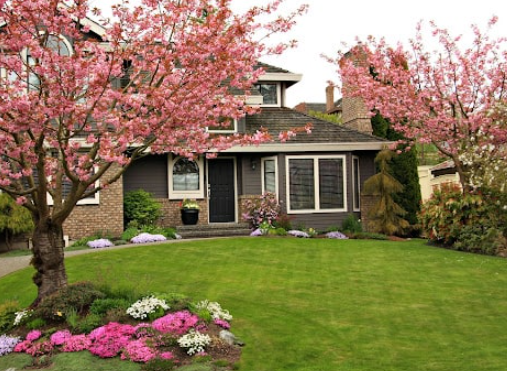 Spring Garden Ideas with Flowering Shrubs and Trees