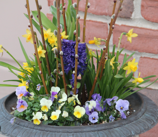 Spring Garden Ideas with Decorative Planters and Pots