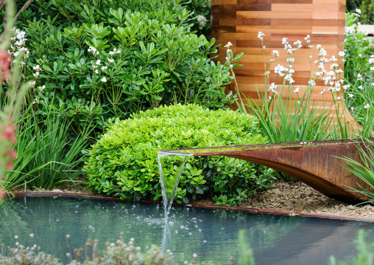 Spring Garden Ideas with Water Garden Features