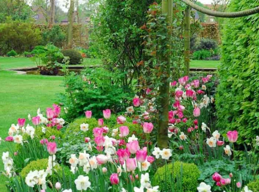 Spring Garden Ideas with Seasonal Flower Borders