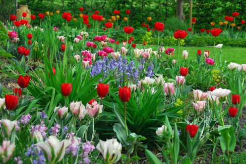 Spring Garden Ideas with Spring Inspired Garden Themes