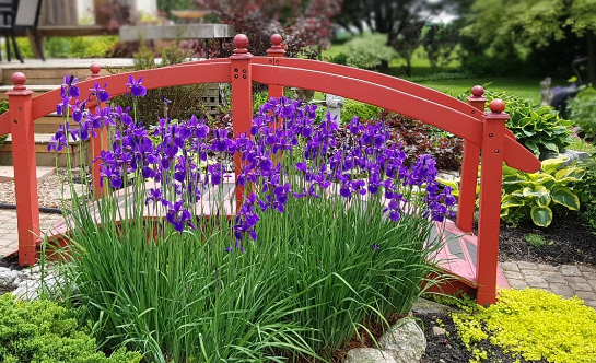 Spring Garden Ideas with Decorative Garden Bridges