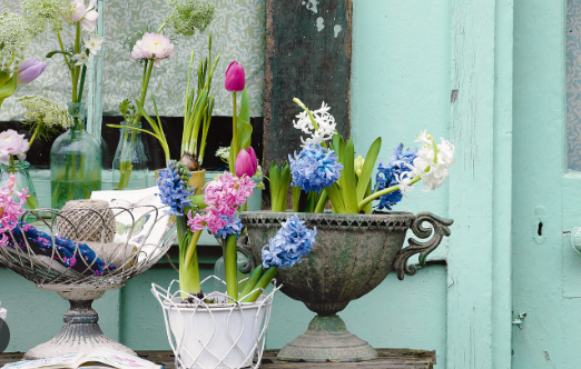 Spring Garden Ideas for Elegant Outdoor Garden Decor